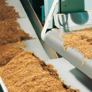 Fajas Transportadoras